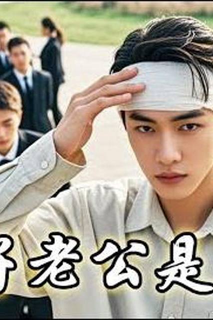 Chồng Ngốc Của Tôi Là Tỷ Phú