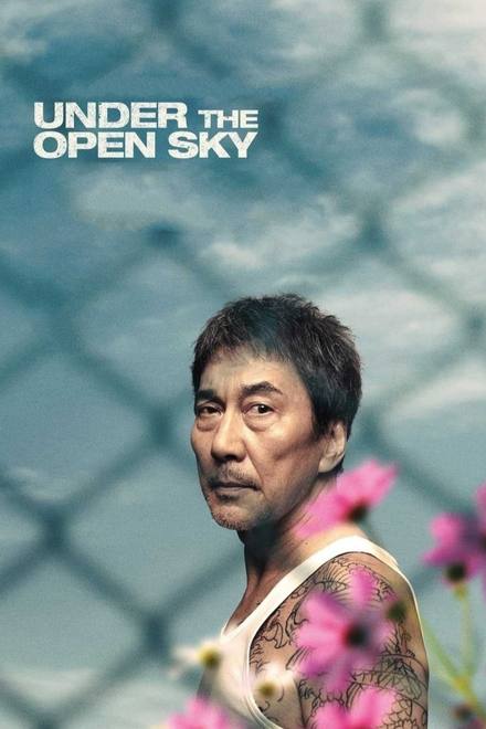 Under The Open Sky