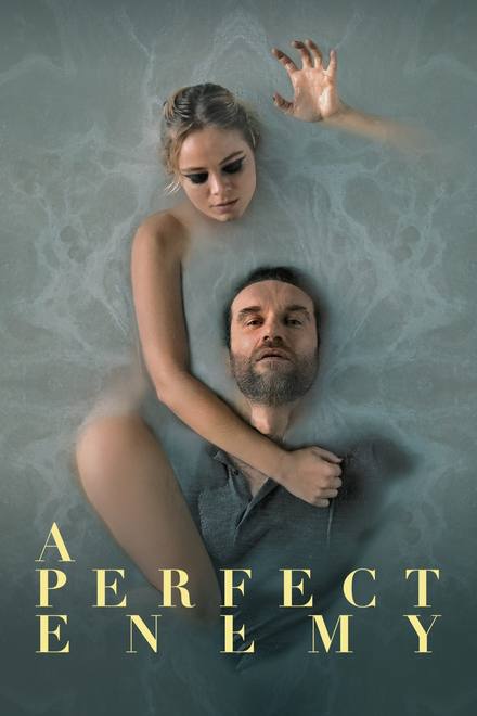 A Perfect Enemy