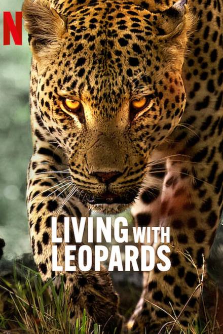 Living with Leopards