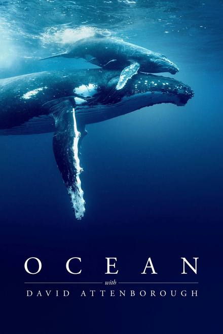 Ocean with David Attenborough