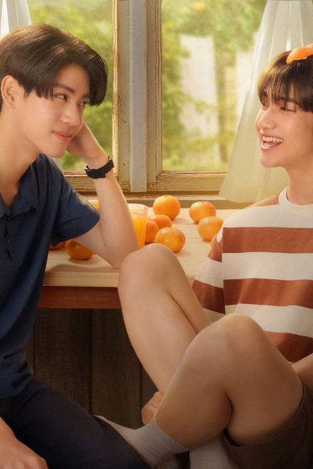 Cây cam ở nhà cậu ấy nhưng quả cam luôn rơi sang nhà tôi