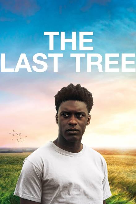 The Last Tree