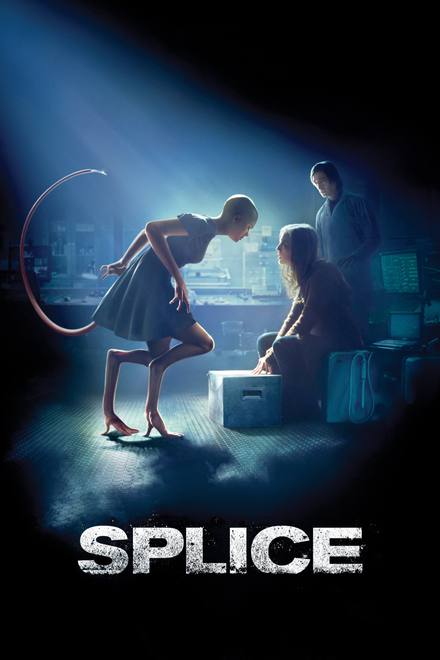Splice
