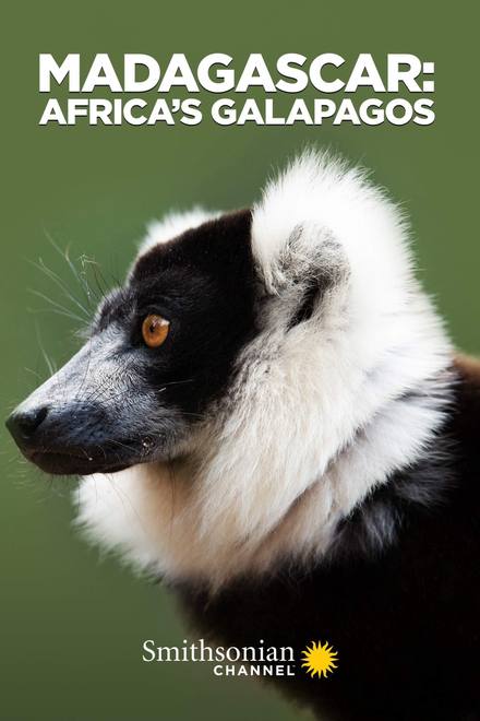 Madagascar: Africa's Galapagos