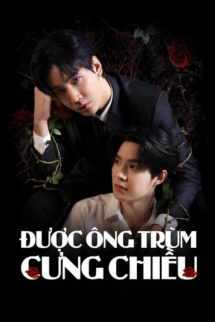 Được Ông Trùm Cưng Chiều