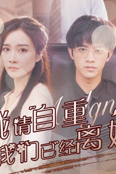 Ông Tổng Giám Đốc, Xin Hãy Tự Trọng - Chúng Ta Đã Ly Hôn Rồi