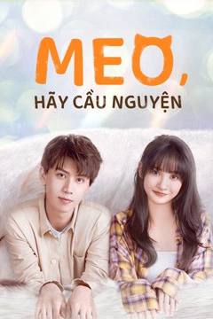 Meo, Hãy Cầu Nguyện