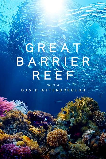 Khám Phá Rạn San Hô Great Barrier cùng David Attenborough