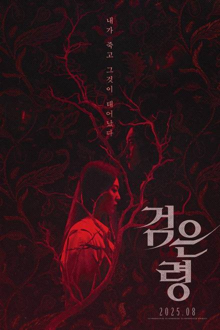 Oán Hồn Trong Vali