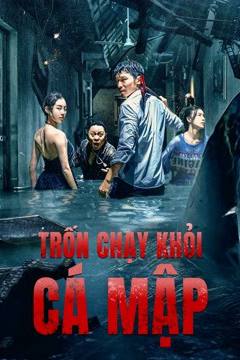 Trốn Chạy Khỏi Cá Mập