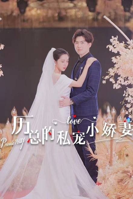 Nàng Công Chúa Trong Mơ Của Tôi