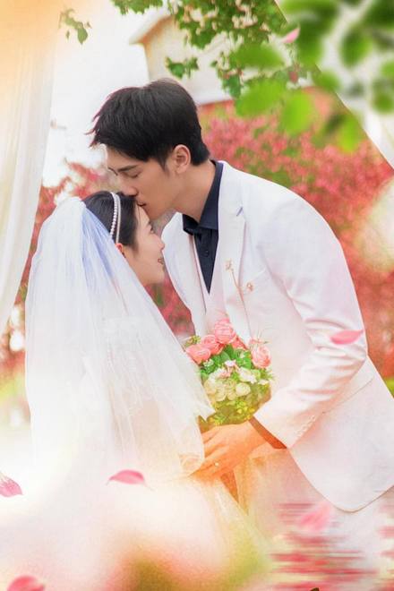 Mẹ Cún Con, Bố Mèo