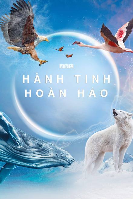 Hành Tinh Hoàn Hảo