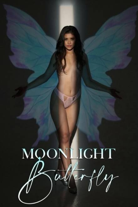 Moonlight Butterfly