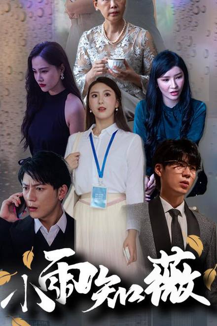 Mưa Nhỏ Biết Vi